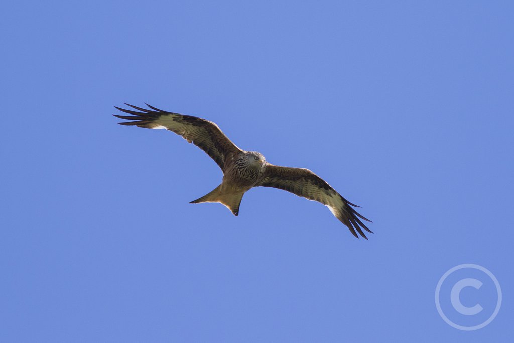 271A7322.jpg