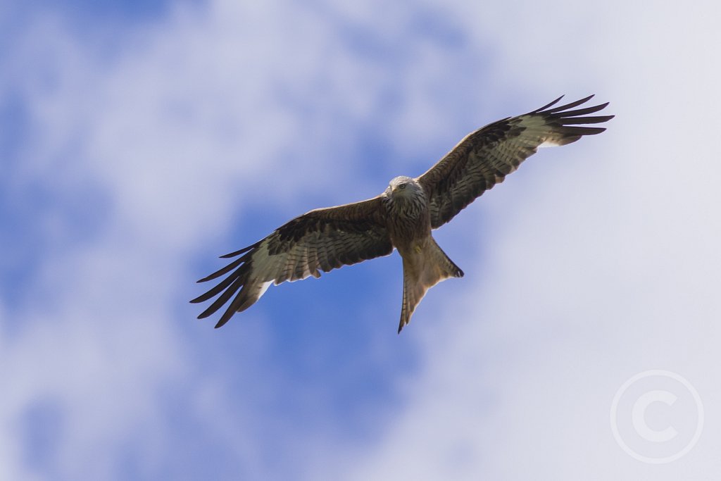 271A7341.jpg